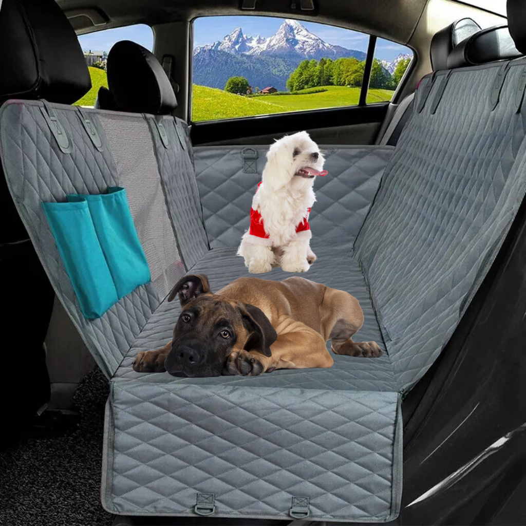 Koffer & achterbank beschermer hond