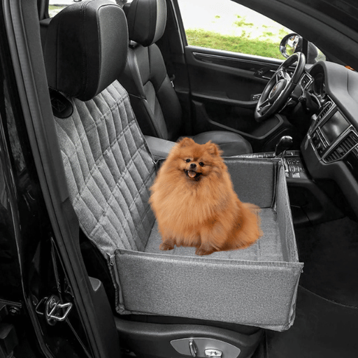 autostoel hond