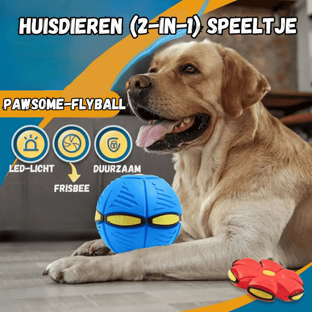 Pawsome-FlyBall