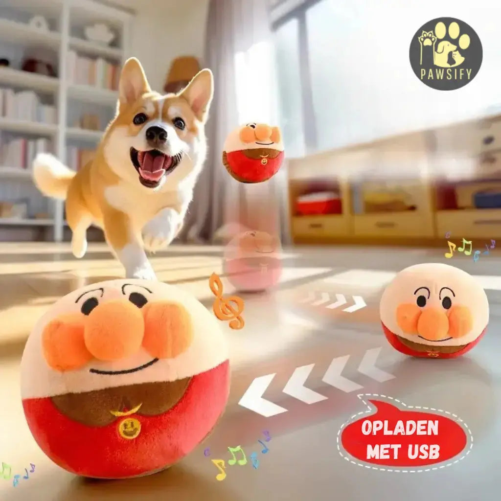 BouncingBuddy - Interactief hondenspeeltje Pawsify