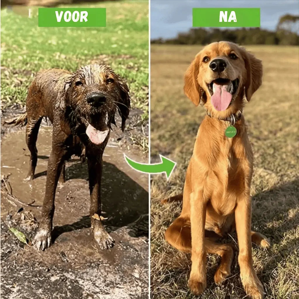 Bubbleclean Sproeikop Voor Wassen Hond Kat Of Auto