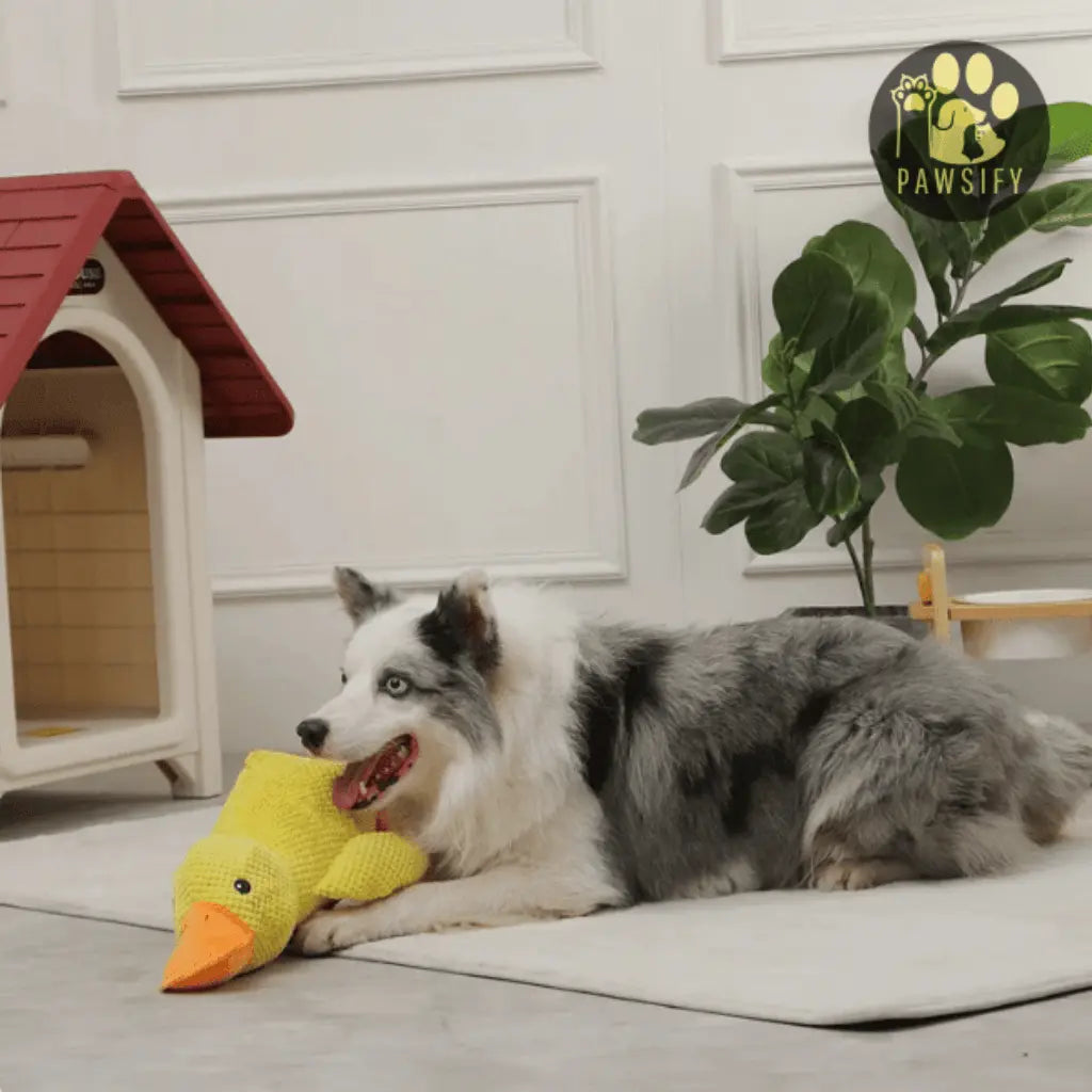 Emoduck Eenzaamheidknuffel Honden