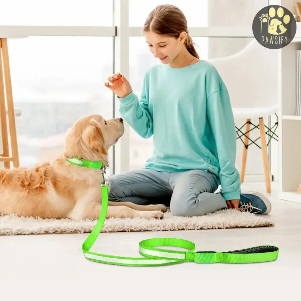 Brightbuddy Led Leiband voor honden