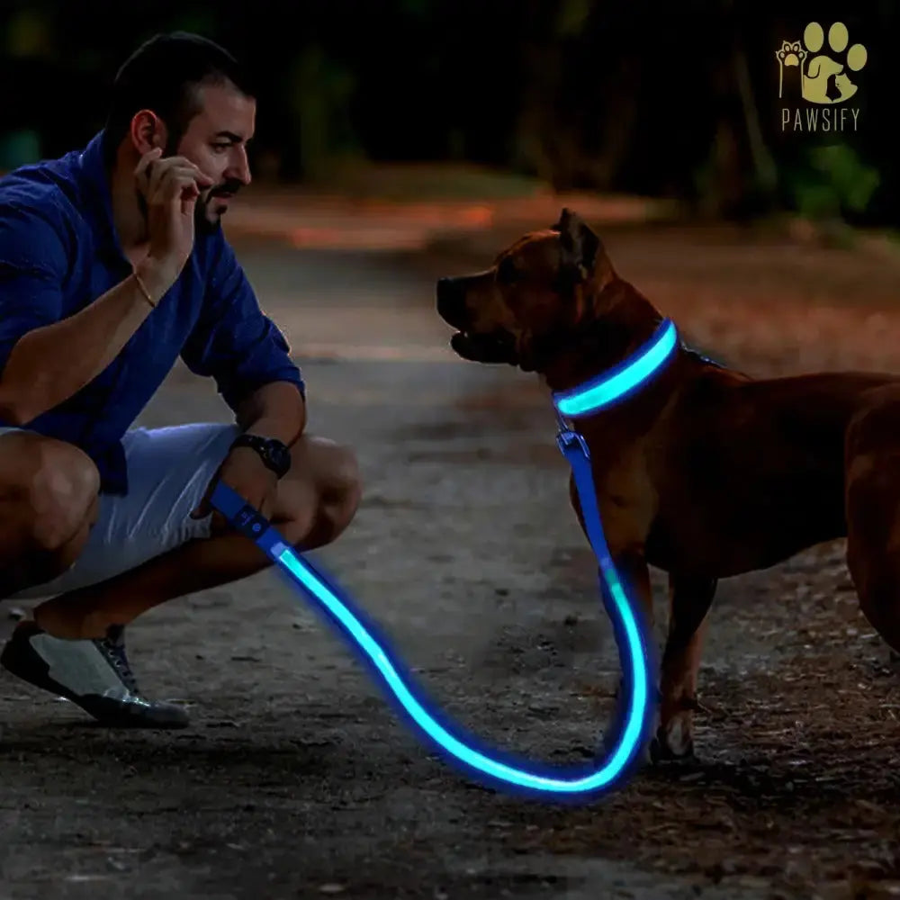 Brightbuddy Led Leiband voor Honden