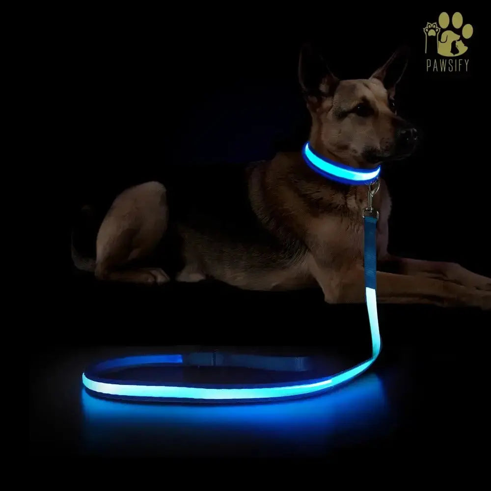 Brightbuddy Led Leiband voor honden