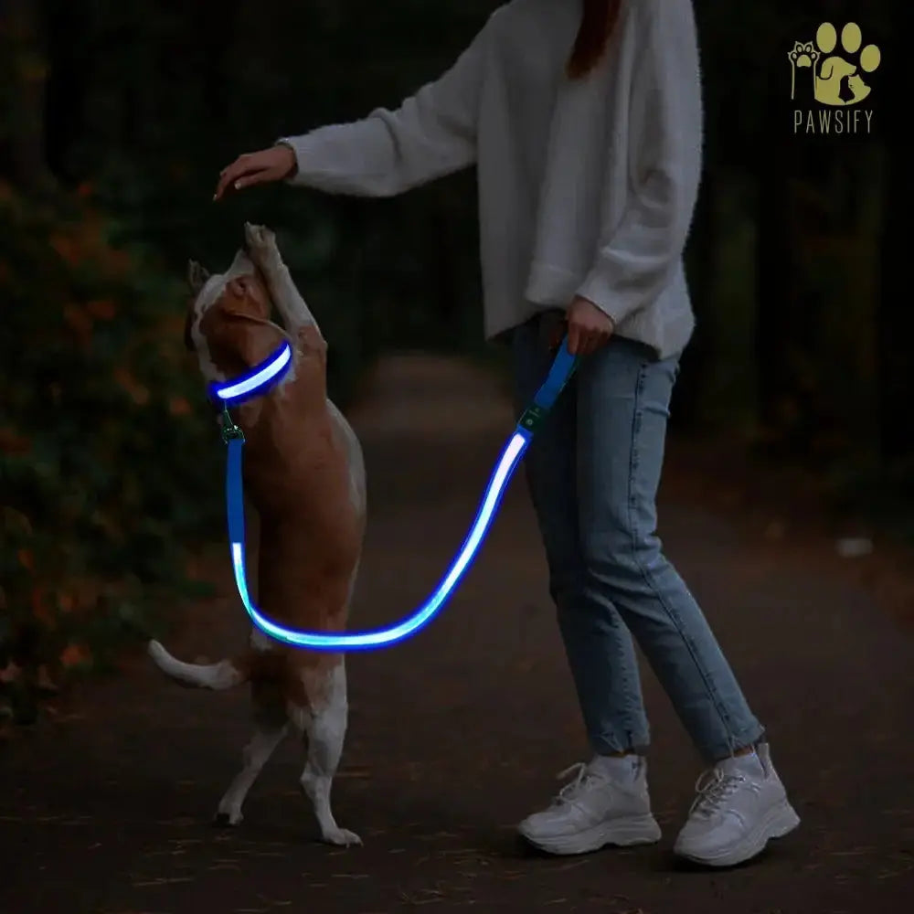 Brightbuddy Led Leiband voor honden