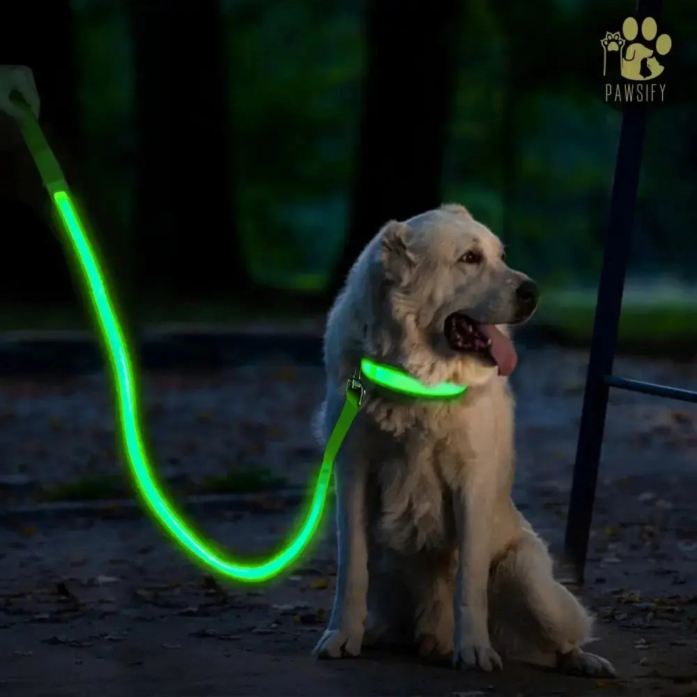 Brightbuddy Led Leiband voor honden