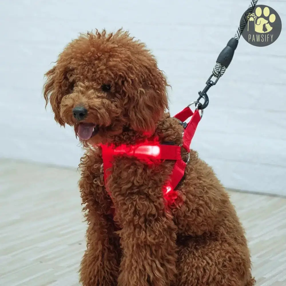 Brightbuddy Led Tuig harnas voor honden