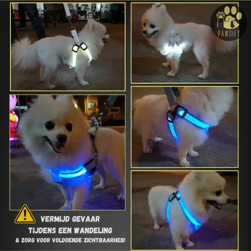 Brightbuddy Led Tuig harnas voor honden