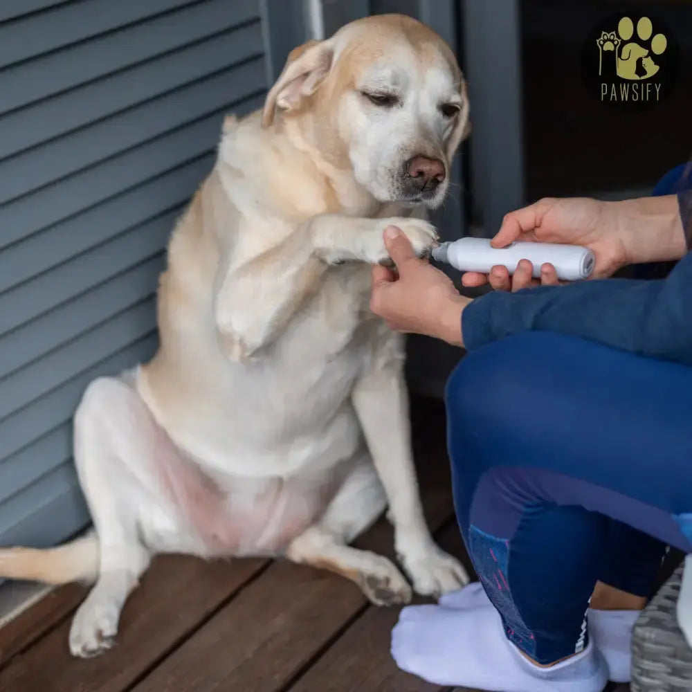 Clawcare Nageltrimmer hond of kat