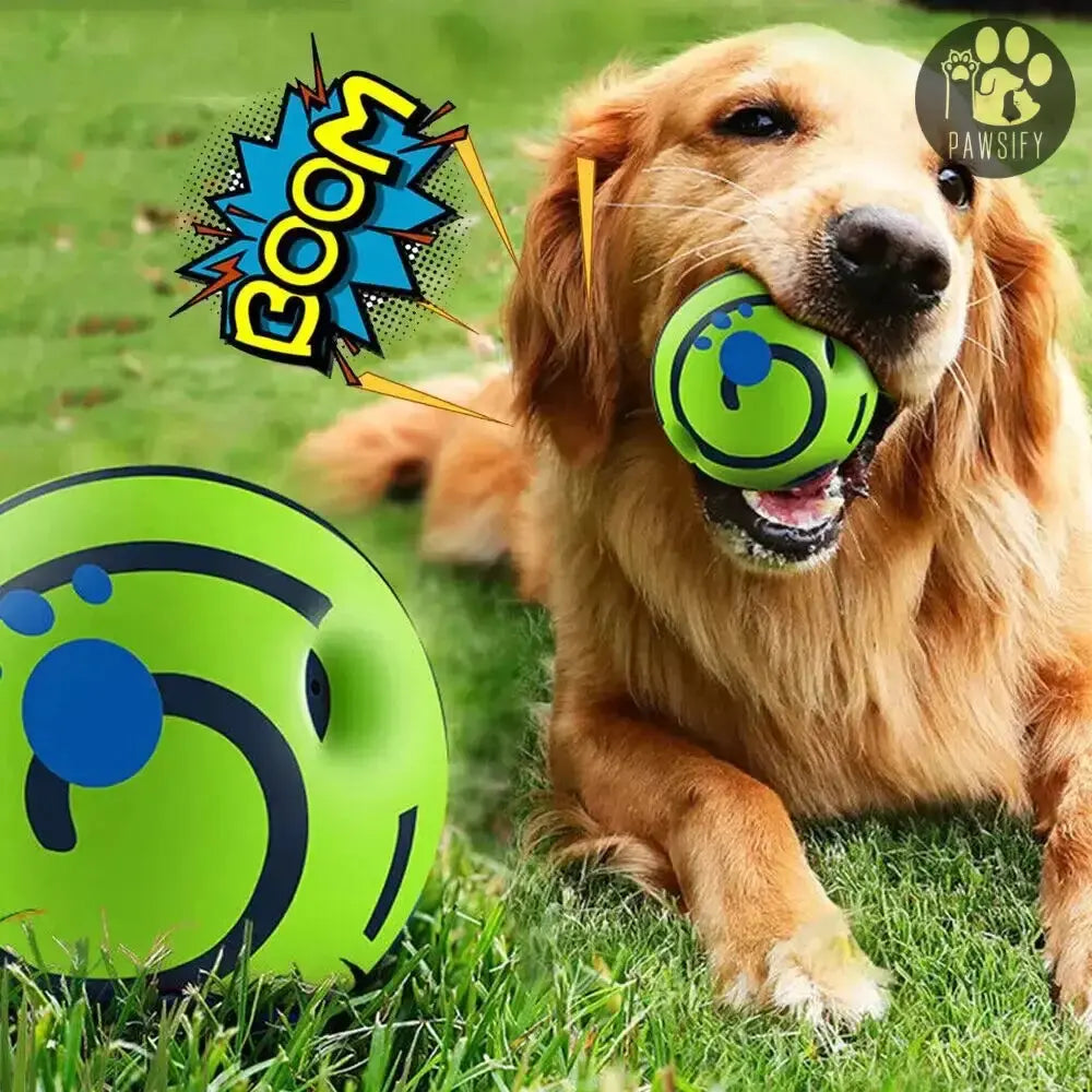 Pawsome-Ball Speelbal Hond