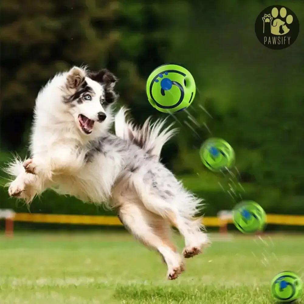 Pawsome-Ball Speelbal Hond