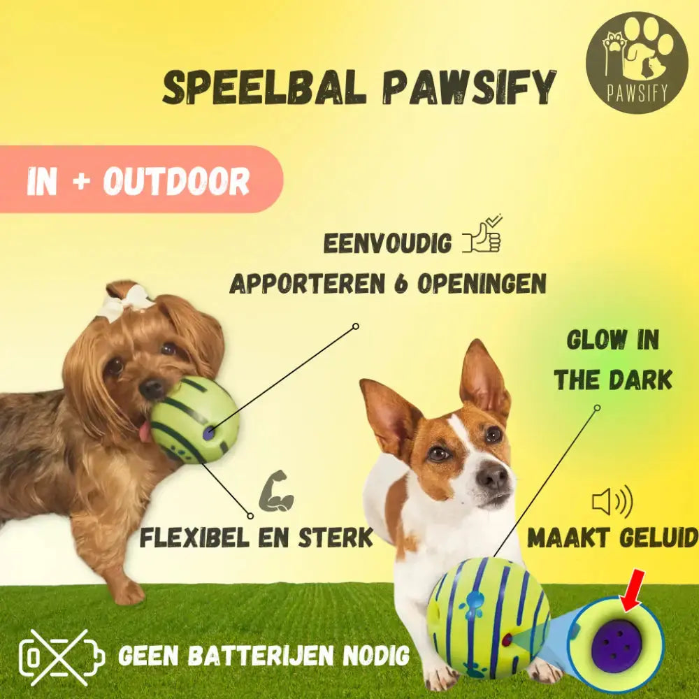 Pawsome-Ball Speelbal Hond