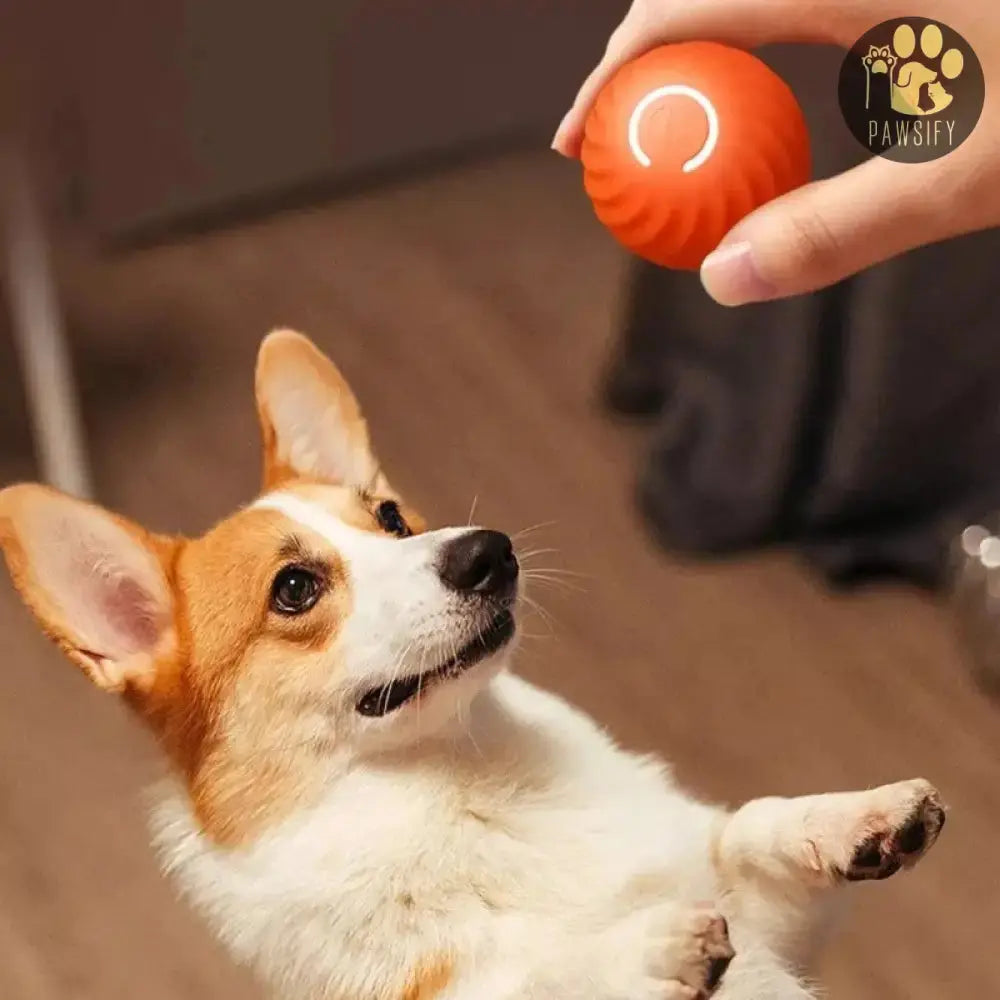 Pawsome-Smartball Speelbal Hond