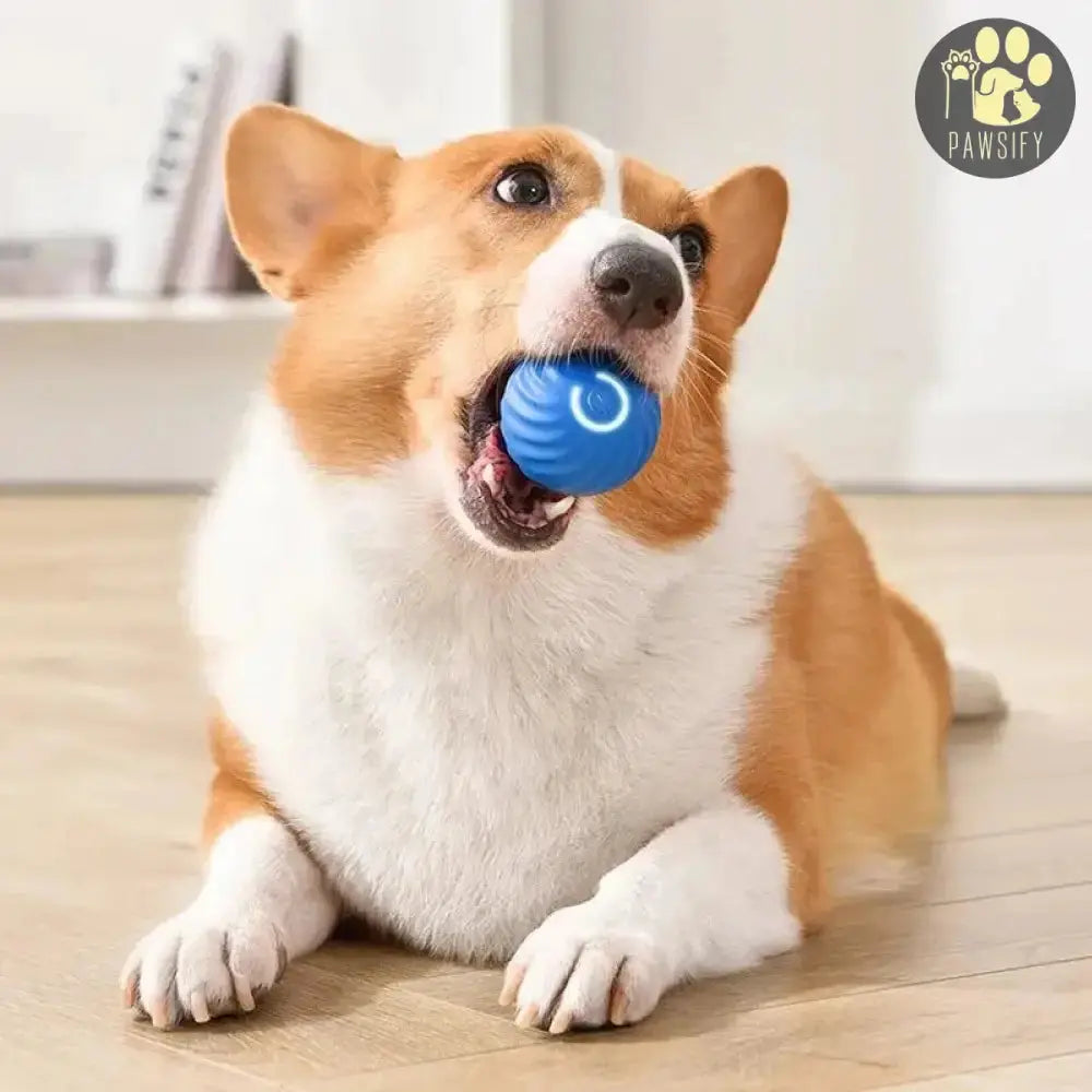 Pawsome-Smartball Speelbal Hond