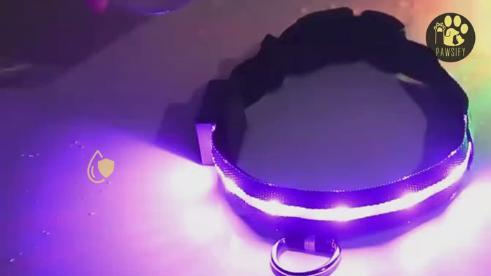 BrightBuddy LED halsband voor honden