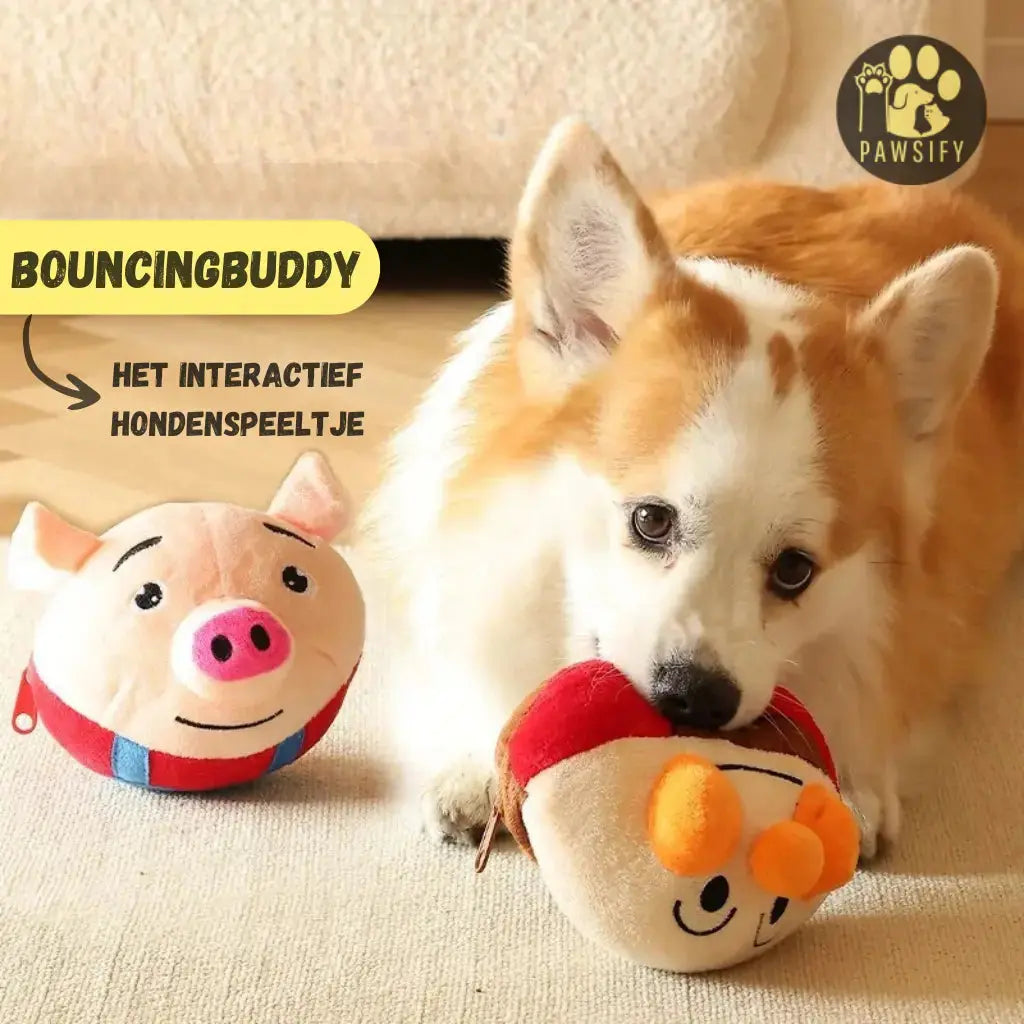 BouncingBuddy - Interactief hondenspeeltje Pawsify